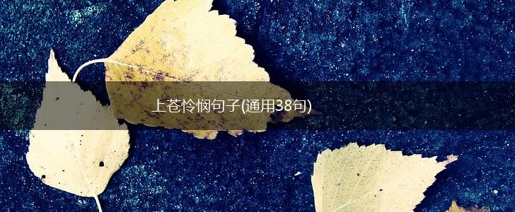 上苍怜悯句子(通用38句),第1张