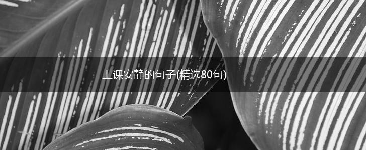 上课安静的句子(精选80句),第1张
