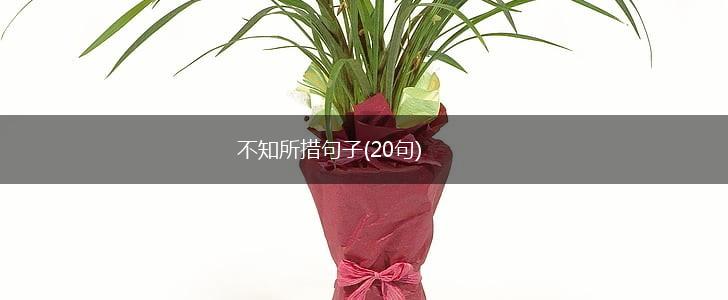 不知所措句子(20句),第1张