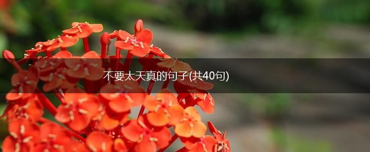 不要太天真的句子(共40句),第1张
