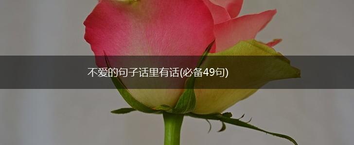 不爱的句子话里有话(必备49句),第1张