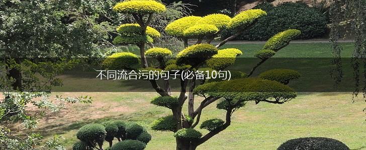 不同流合污的句子(必备10句),第1张