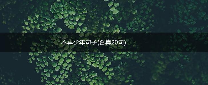 不再少年句子(合集20句),第1张