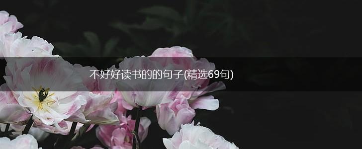 不好好读书的的句子(精选69句),第1张