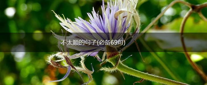 不太顺的句子(必备69句),第1张