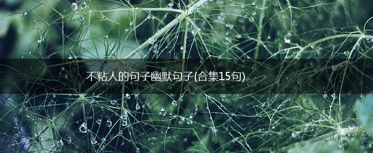 不粘人的句子幽默句子(合集15句),第1张