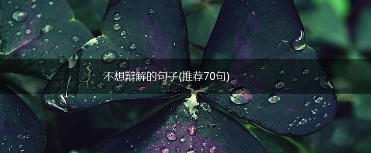 不想辩解的句子(推荐70句),第1张