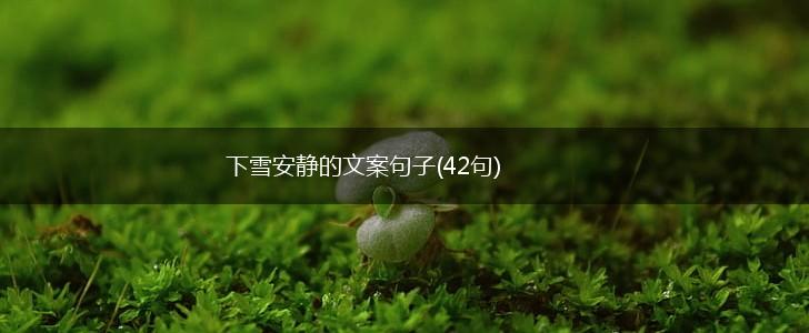 下雪安静的文案句子(42句),第1张