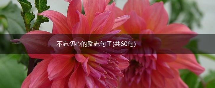 不忘初心的励志句子(共60句),第1张