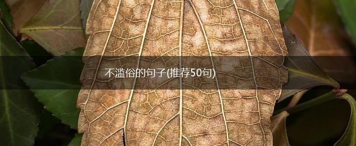 不滥俗的句子(推荐50句),第1张