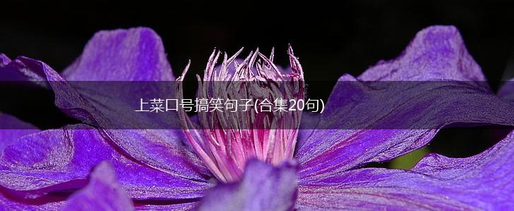 上菜口号搞笑句子(合集20句),第1张