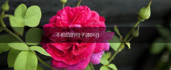 不相信的句子(80句),第1张