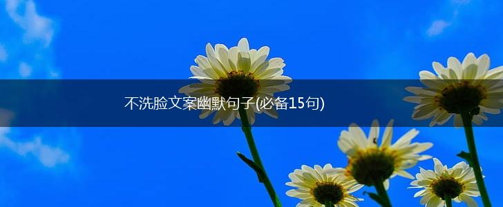 不洗脸文案幽默句子(必备15句),第1张