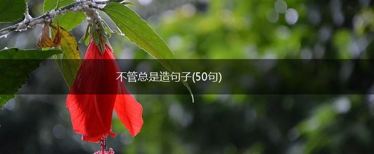 不管总是造句子(50句),第1张