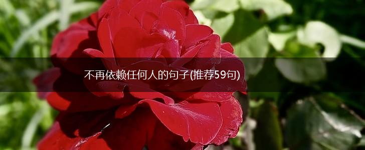 不再依赖任何人的句子(推荐59句),第1张