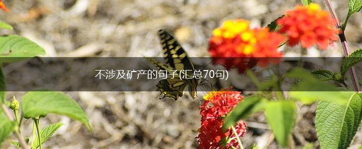 不涉及矿产的句子(汇总70句),第1张