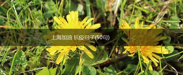 上海加油 抗疫句子(50句),第1张