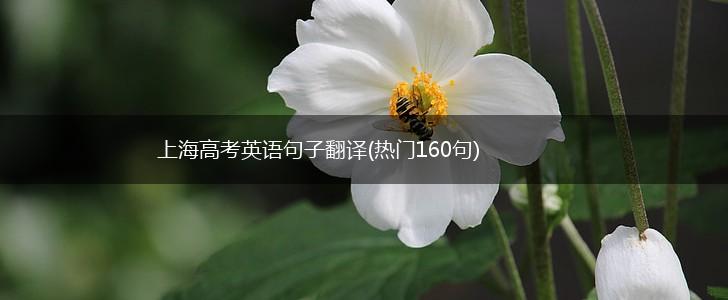 上海高考英语句子翻译(热门160句),第1张