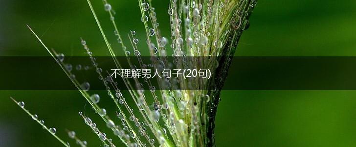不理解男人句子(20句),第1张