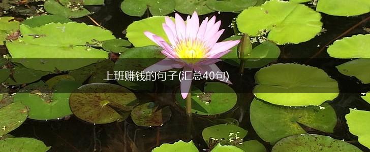 上班赚钱的句子(汇总40句),第1张