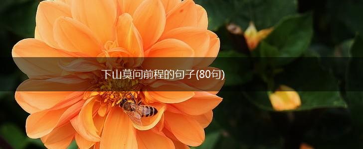 下山莫问前程的句子(80句),第1张