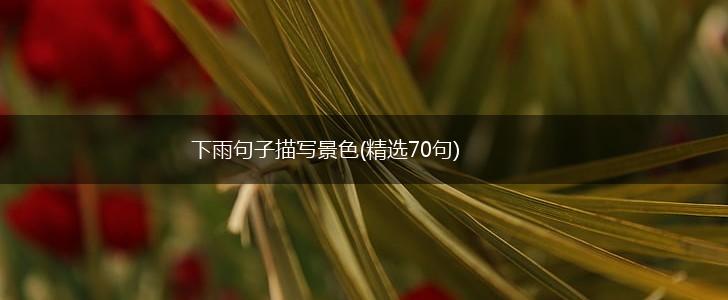 下雨句子描写景色(精选70句),第1张