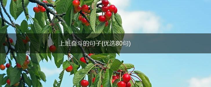 上班奋斗的句子(优选80句),第1张