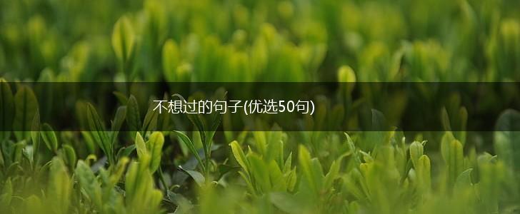 不想过的句子(优选50句),第1张