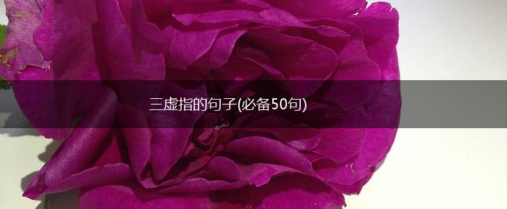 三虚指的句子(必备50句),第1张