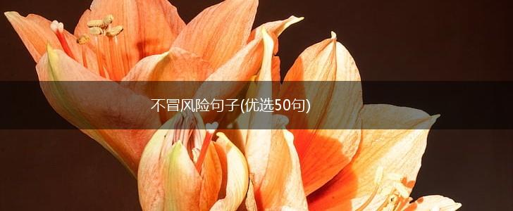 不冒风险句子(优选50句),第1张