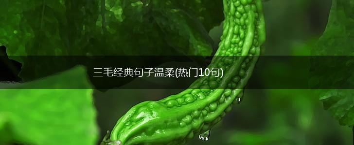 三毛经典句子温柔(热门10句),第1张