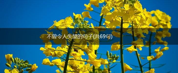 不曾令人失望的句子(共69句),第1张