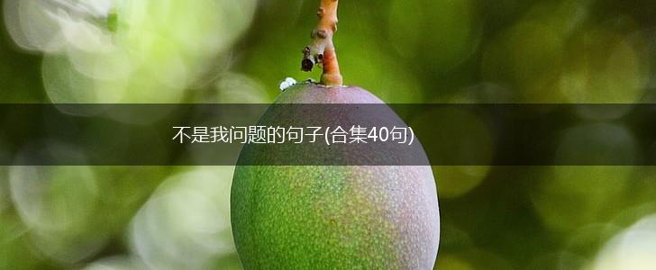 不是我问题的句子(合集40句),第1张