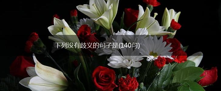 下列没有歧义的句子是(140句),第1张