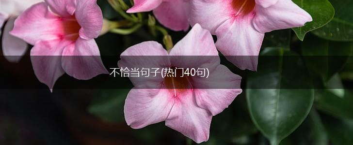 不恰当句子(热门40句),第1张