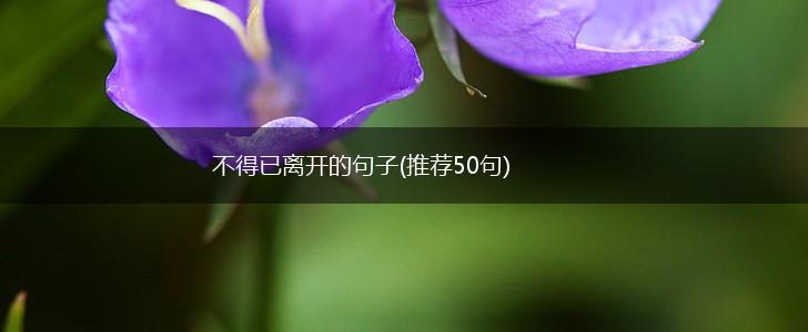 不得已离开的句子(推荐50句),第1张