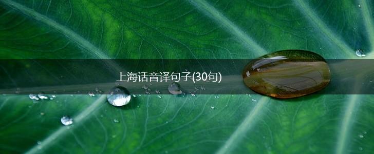 上海话音译句子(30句),第1张