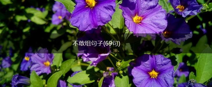 不敢组句子(69句),第1张