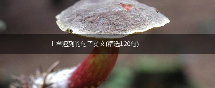 上学迟到的句子英文(精选120句),第1张