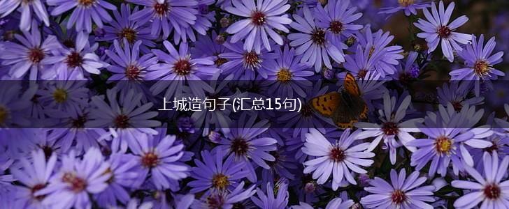 上城造句子(汇总15句),第1张