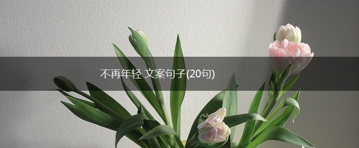 不再年轻 文案句子(20句),第1张