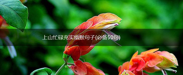 上山忙碌充实幽默句子(必备50句),第1张