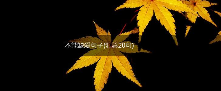 不能缺爱句子(汇总20句),第1张