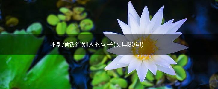 不想借钱给别人的句子(实用80句),第1张