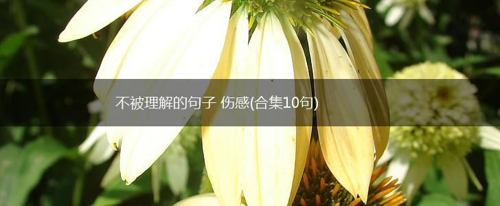 不被理解的句子 伤感(合集10句),第1张