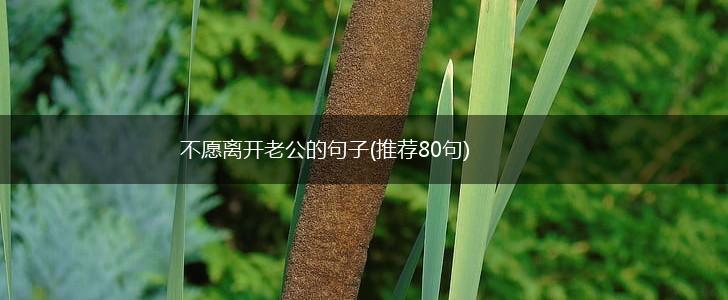 不愿离开老公的句子(推荐80句),第1张