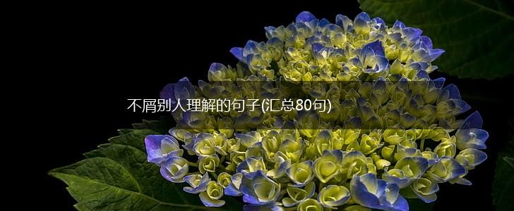不屑别人理解的句子(汇总80句),第1张