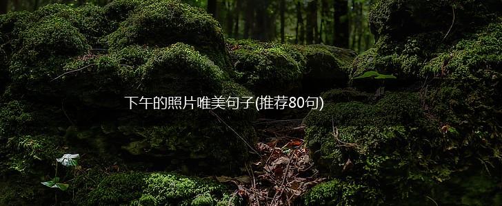 下午的照片唯美句子(推荐80句),第1张