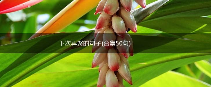 下次再聚的句子(合集50句),第1张