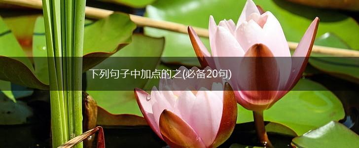 下列句子中加点的之(必备20句),第1张